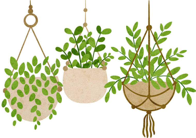 hanging plants